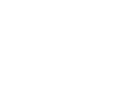 Vertex Restoration